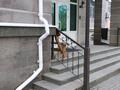 2-бөлмелі пәтер · 143 м² · 5/6 қабат, мкр 5, Есет батыра — Акимат, бағасы: 61.5 млн ₸ в Актобе