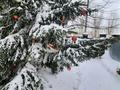 10 комнат · 15 м² · 1 этаж, проспект Б.Момыш-улы — Абылай-хана за 50 000 ₸ в Астане, Алматы р-н — фото 10