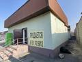 Свободное назначение · 176 м² за 70 млн ₸ в Коянкусе
