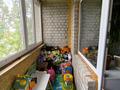 2-комнатная квартира · 58 м² · 4/4 этаж, Радищева 30 — новая мечеть на береке за 19 млн ₸ в Петропавловске — фото 10