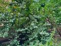 Отдельный дом · 6 комнат · 550 м² · 16 сот., мкр Курамыс, Астана 105/1 за 795 млн ₸ в Алматы, Наурызбайский р-н — фото 42