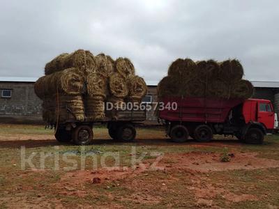 Өнеркәсіптік база · 10 га, Кабанбай батыра 1 — За кабанбаяем,возле поворота на Романовку ,возле новой школы, бағасы: 110 млн 〒 в Астане, Алматы р-н