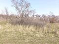Участок · 6 соток, Бельбулак (Мичурино) за 6 млн ₸