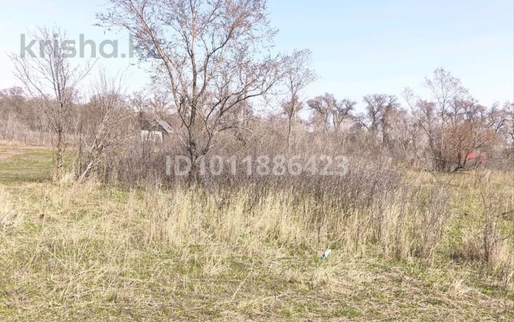 Участок · 6 соток, Бельбулак (Мичурино) за 6 млн ₸ — фото 2