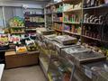 Магазины и бутики · 109 м² за 85 млн ₸ в Семее — фото 4