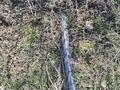 Участок · 8 соток, мкр Нуршуак, Ханарық за 9.3 млн ₸ в Шымкенте, Абайский р-н — фото 3