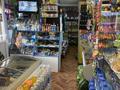 Магазины и бутики · 80 м² за 80 млн ₸ в Конаеве — фото 18