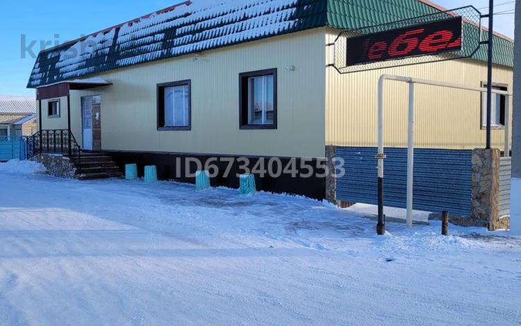 Дүкендер мен бутиктер · 403.5 м², бағасы: 60 млн ₸ в Карабалыке — фото 11