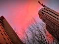 Жеке үй · 9 бөлме · 240 м² · 5 жүзд., Зорге 9/2, бағасы: 120 млн ₸ в Астане, Есильский р-н — фото 13