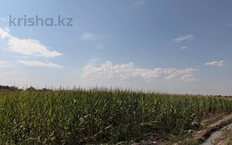 Участок · 2 га, мкр Алатау (ИЯФ) за 100 млн ₸ в Алматы, Медеуский р-н — фото 5