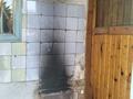 Ауыл шаруашылығы · 75 м², бағасы: 200 млн ₸ в Усть-Каменогорске — фото 13