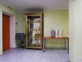 Общепит · 300 м² за 1.8 млн ₸ в Экибастузе — фото 16