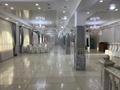Еркін, қоғамдық тамақтану орны, ойын-сауық · 600 м², бағасы: 2 млн ₸ в Астане, р-н Байконур — фото 6