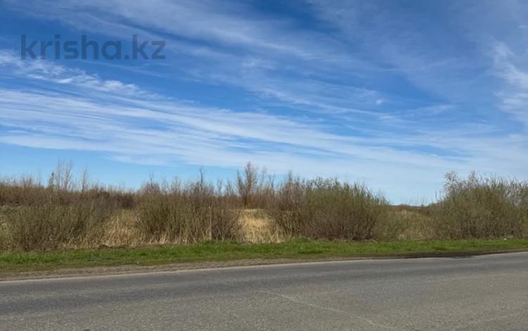 Участок · 3.5 га, Ауэзова 268 за 125 млн ₸ в Петропавловске — фото 20