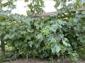 Жеке үй · 4 бөлме · 160 м² · 12 жүзд., Ардагер ш/а., Айтуар би 5, бағасы: 48 млн ₸ в Атырау, мкр Ардагер — фото 13
