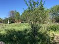 Дача · 3 комнаты · 34 м² · 18 сот., Ореховая 327 за 10.5 млн ₸ в Косозен — фото 6