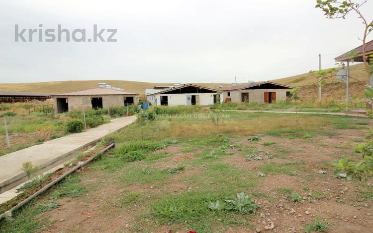 Ауыл шаруашылығы • 2500 м², бағасы: 100 млн 〒 в Узынагаш — фото 5