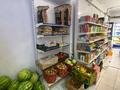 Дүкендер мен бутиктер, қоғамдық тамақтану орны · 220 м², бағасы: 110 млн ₸ в Астане, Сарыарка р-н — фото 6