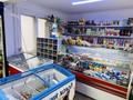 Действующий продуктовый магазин · 50 м², бағасы: 35 млн ₸ в Семее — фото 2