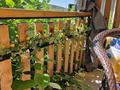 Дача · 1 комната · 25 м², Тажиева 659 за 30 000 ₸ в Алматы, Наурызбайский р-н — фото 10