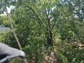Отдельный дом · 4 комнаты · 55 м² · 10.4 сот., Ахметова 2 — Абдикаримова, Имамниязова за 14 млн ₸ в Шелек — фото 2