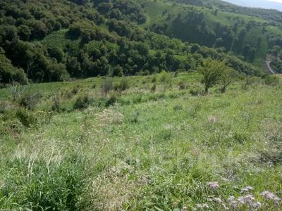 Жер телімі · 2.6 га, Талғар, бағасы: 26 млн ₸ в Талгаре