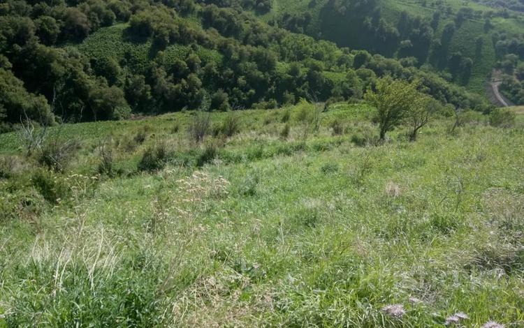 Жер телімі · 2.6 га, Талғар, бағасы: 26 млн ₸ в Талгаре — фото 2