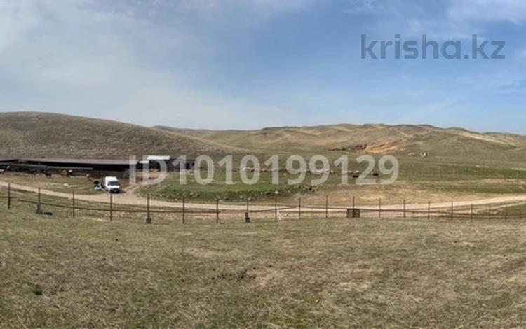 Промбаза · 155 га, п. Шиен 1 за 90 млн ₸ в Узынагаш — фото 2