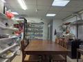 Свободное назначение, офисы, магазины и бутики, общепит · 47.2 м² за 200 000 ₸ в Астане, Сарыарка р-н — фото 2