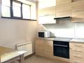 1-комнатная квартира · 100 м² · 1/2 этаж, мкр Баганашыл, Ремизовка 21 за 300 000 ₸ в Алматы, Бостандыкский р-н — фото 5