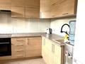 1-комнатная квартира · 100 м² · 1/2 этаж, мкр Баганашыл, Ремизовка 21 за 300 000 ₸ в Алматы, Бостандыкский р-н — фото 6