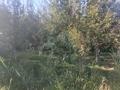 Жеке үй · 8 бөлме · 250 м² · 55 жүзд., Алпысбаев 34 — ТАЛДЫ ЛЕСНОВКА, бағасы: 62 млн ₸ в Жаркенте — фото 4