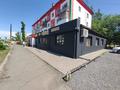 Свободное назначение · 185 м² за 85 млн ₸ в Аксу — фото 3