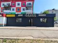 Свободное назначение · 185 м² за 85 млн ₸ в Аксу — фото 2