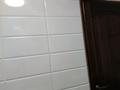 2-бөлмелі пәтер · 45 м² · 2/2 қабат, макталы 22, бағасы: 20 млн ₸ в Шымкенте, Туран р-н — фото 8