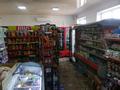 Магазины и бутики • 200 м² за 65 млн 〒 в Кабанбае Батыра — фото 11