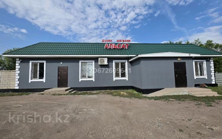 Дүкендер мен бутиктер · 200 м², бағасы: 65 млн ₸ в Кабанбае Батыра — фото 27