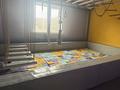 Развлечения · 308 м² за 1.2 млн ₸ в Алматы, Наурызбайский р-н — фото 44