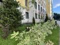 1-комнатная квартира · 43 м² · 12/12 этаж, Райымбека 351/1 — Ташкенский петрова за 36 млн ₸ в Алматы, Алатауский р-н — фото 40