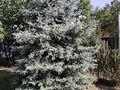 Жеке үй · 4 бөлме · 139 м² · 10 жүзд., Курманова 57, бағасы: 80 млн ₸ в  — фото 32
