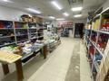 Действующий магазин, 130 м² за 19.5 млн 〒 в Астане, Сарыарка р-н — фото 12
