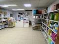 Действующий магазин, 130 м² за 19.5 млн 〒 в Астане, Сарыарка р-н — фото 2
