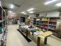 Действующий магазин, 130 м² за 19.5 млн 〒 в Астане, Сарыарка р-н — фото 3