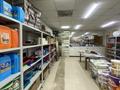 Действующий магазин, 130 м² за 19.5 млн 〒 в Астане, Сарыарка р-н — фото 7