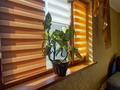 Жеке үй · 6 бөлме · 240 м² · 10 жүзд., Достык 57 57, бағасы: 49 млн ₸ в Долане — фото 17