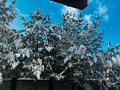 Отдельный дом · 6 комнат · 230 м² · 12 сот., Достык 18 за ~ 66 млн ₸ в  — фото 4