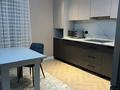 1-комнатная квартира · 48 м² · 9/12 этаж, мкр Акжайык, Сырым батыра 99/3 — Пересечение Тулеметова Сырым батыр за 280 000 ₸ в Шымкенте, Абайский р-н — фото 2