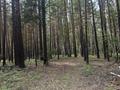 Жеке үй · 3 бөлме · 120 м², Достык 74, бағасы: 20 000 ₸ в Никольском — фото 65