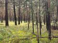 Жеке үй · 3 бөлме · 120 м², Достык 74, бағасы: 20 000 ₸ в Никольском — фото 59