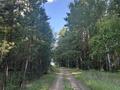 Жеке үй · 3 бөлме · 120 м², Достык 74, бағасы: 20 000 ₸ в Никольском — фото 63